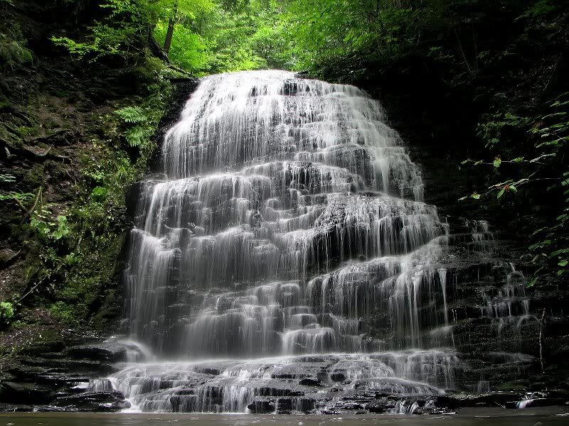 Tiered Waterfall in Forest — Green, Serene, Afternoon, Photograph, Trees, Rocks, Stream