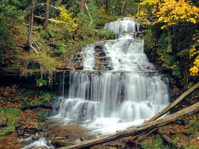 Tiered Waterfall in Forest — Green, Serene, Autumn