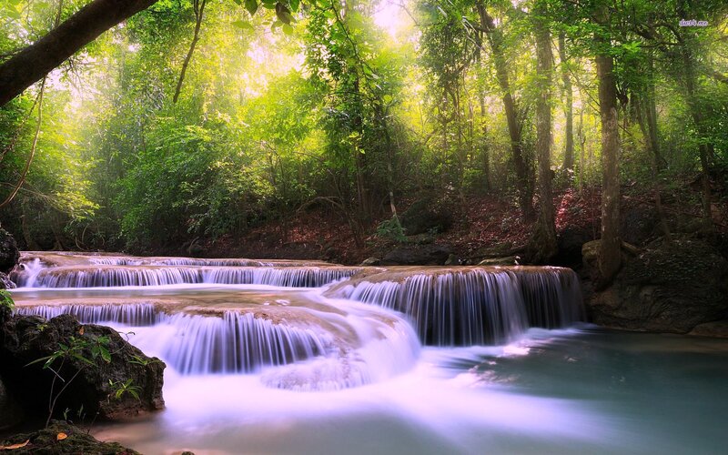 Tiered Waterfall in Forest — Green, Serene, Morning