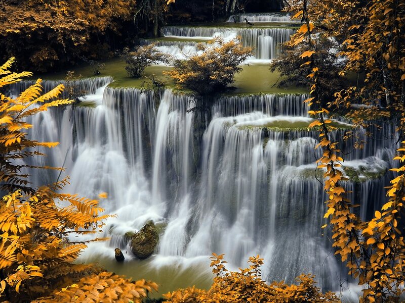 Tiered Waterfall in Forest — Yellow