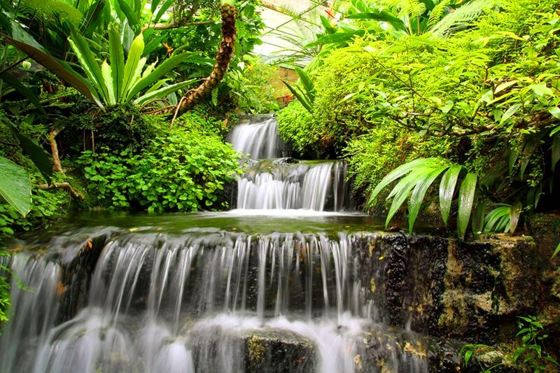 Tiered Waterfall in Jungle — Green, Serene, Afternoon, Photograph