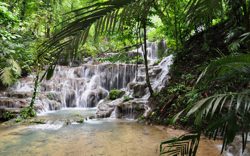 Tiered Waterfall in Jungle
