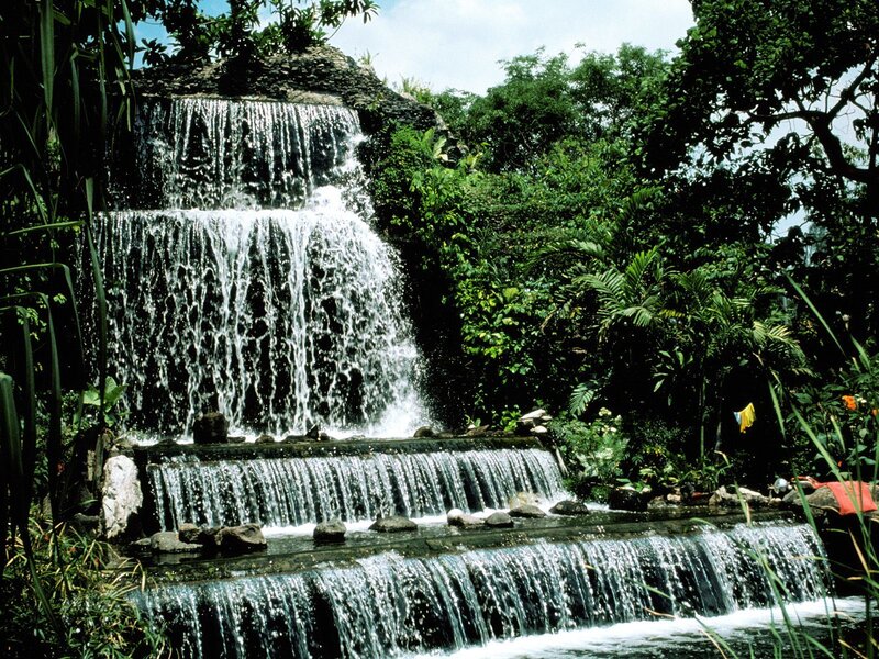 Tiered waterfall in lush garden