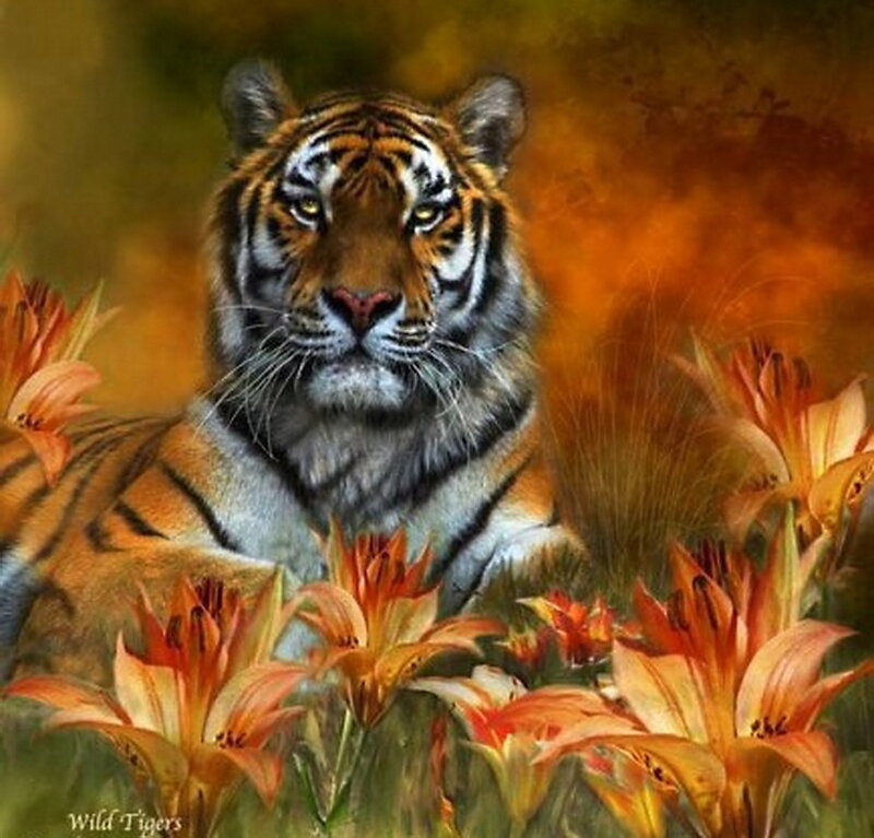 Tiger Among Lilies