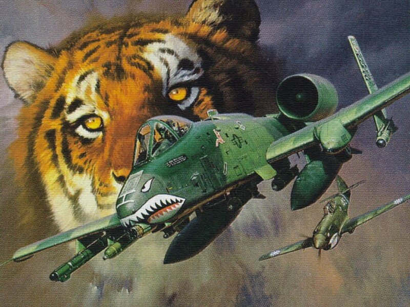 Tiger and A-10 Warthog Art