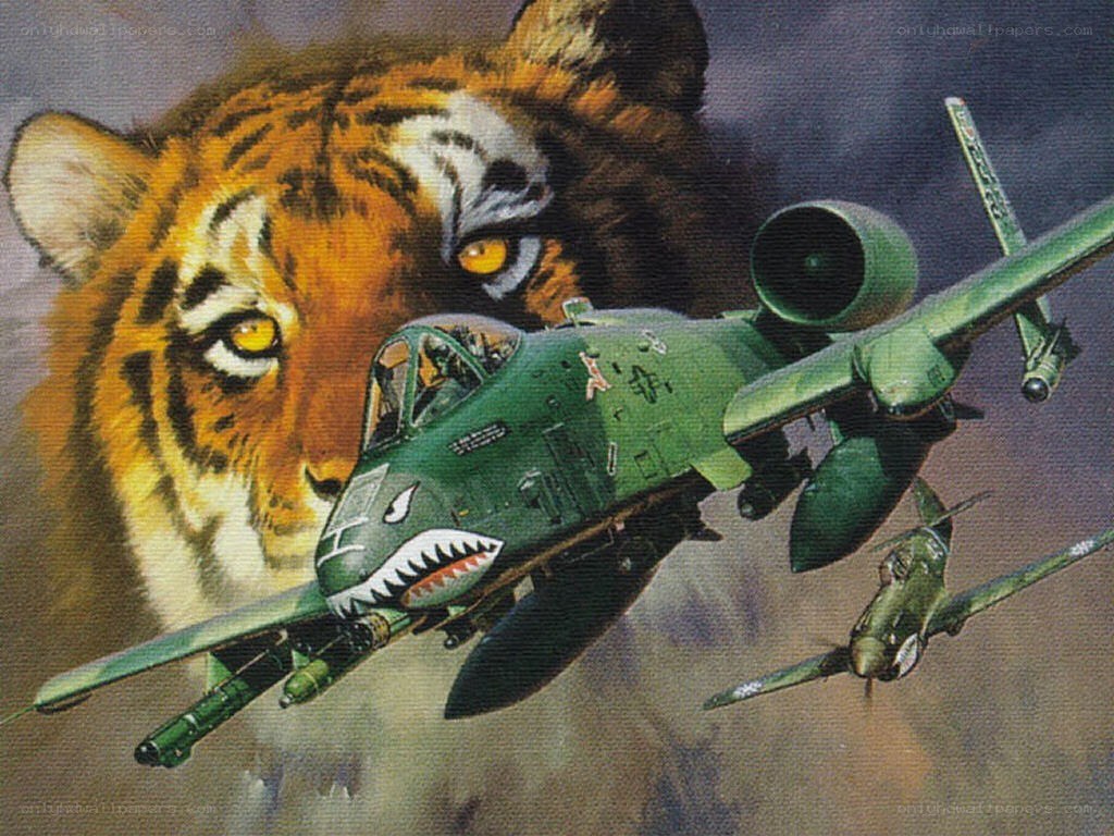 Tiger and A-10 Warthog Art