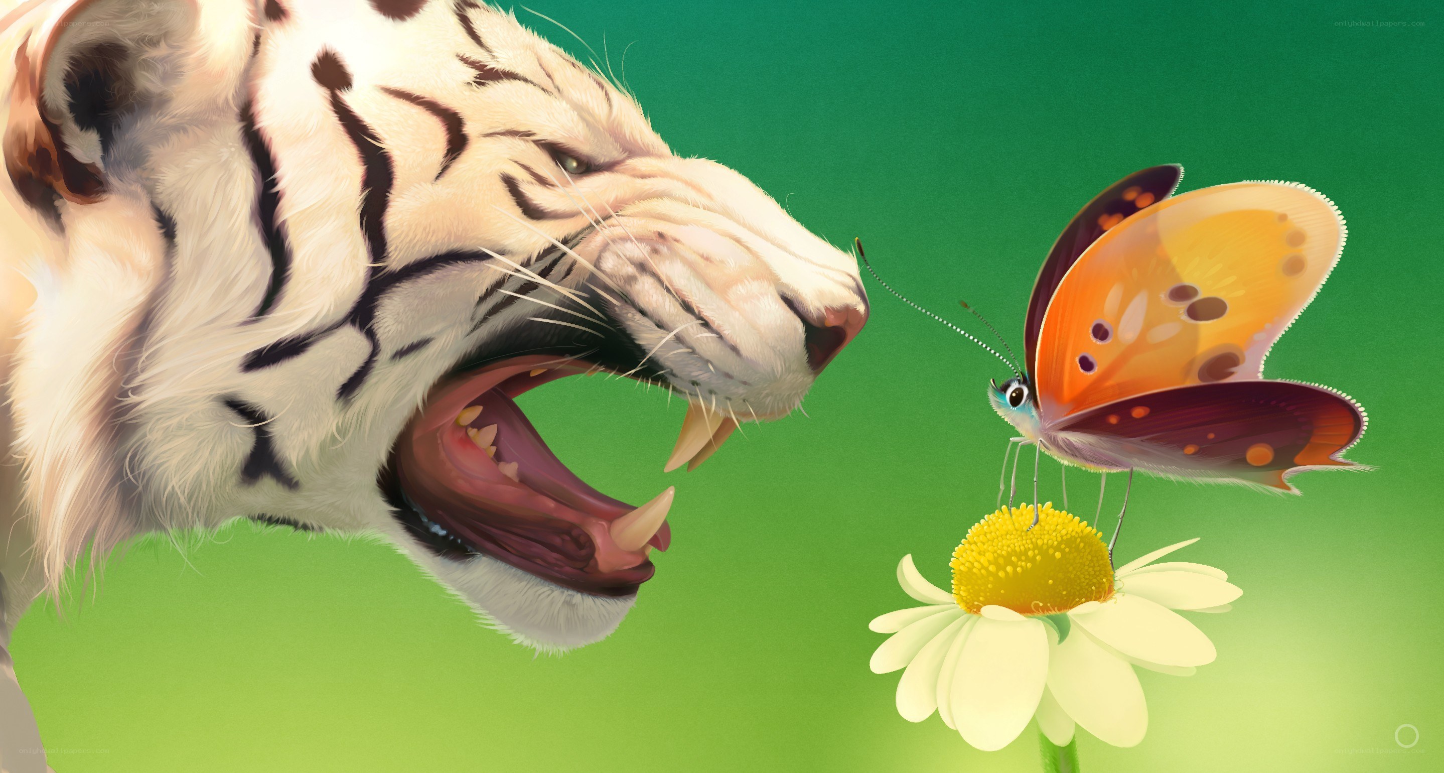 tiger and butterfly on flower