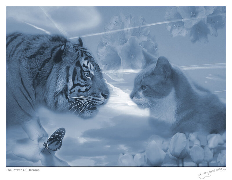 Tiger and Cat Facing Each Other