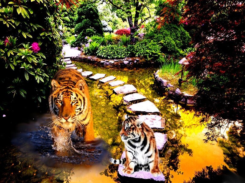 Tiger and Cub in Garden