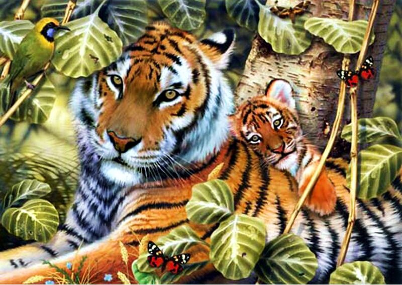 Tiger and Cub in Jungle — Orange