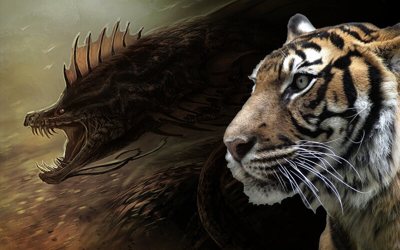 Tiger and Dragon