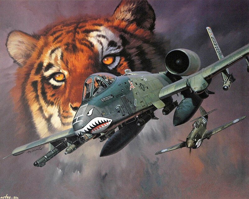 Tiger and Fighter Jets