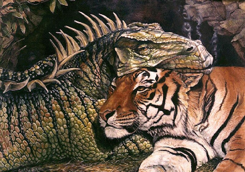 Tiger and Iguana