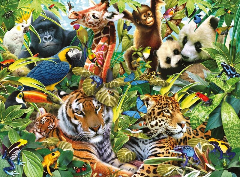 Tiger and Leopard in Jungle