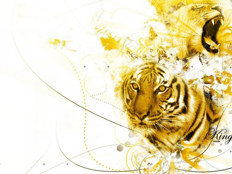 Tiger and Lion Heads