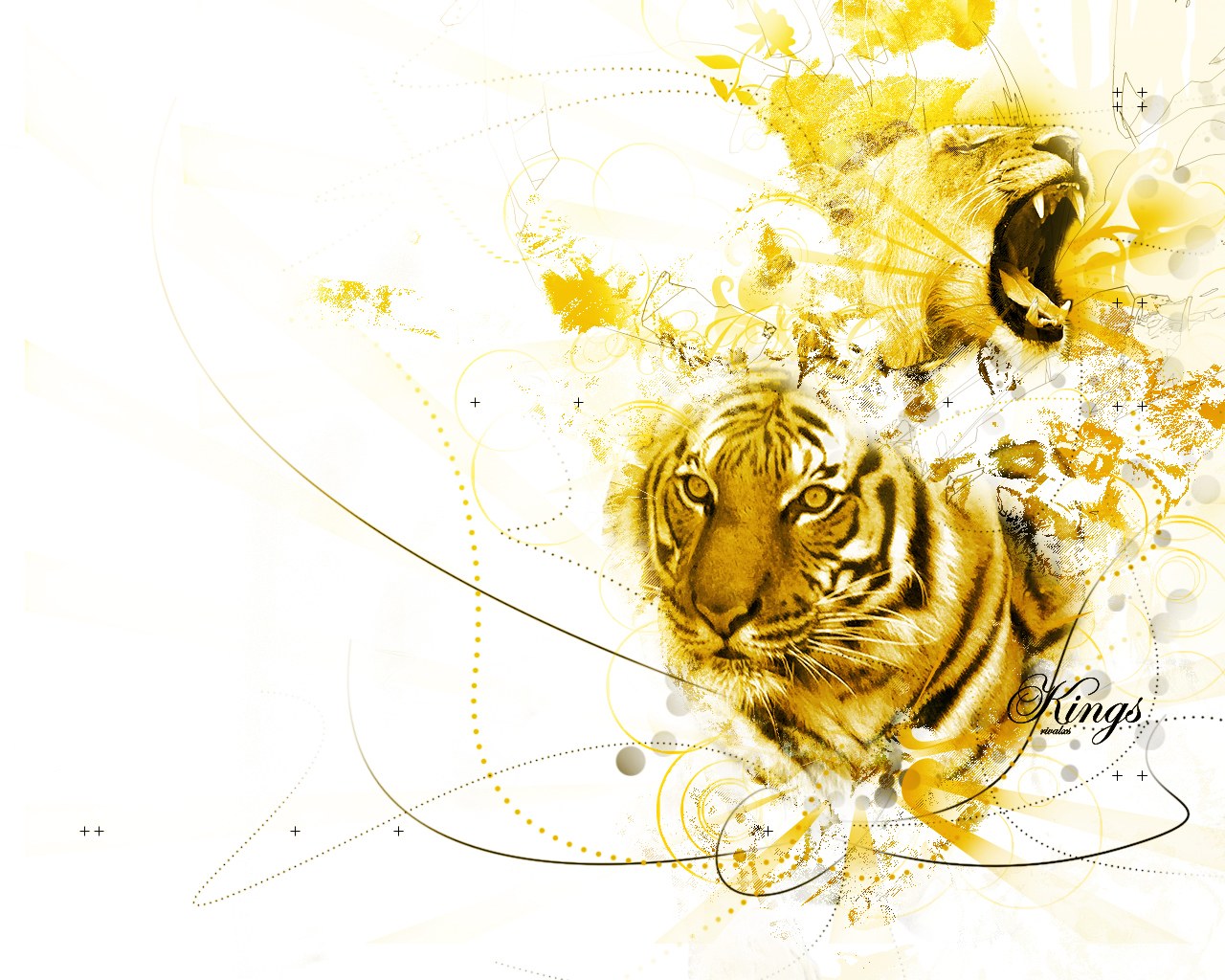 tiger and lion kings