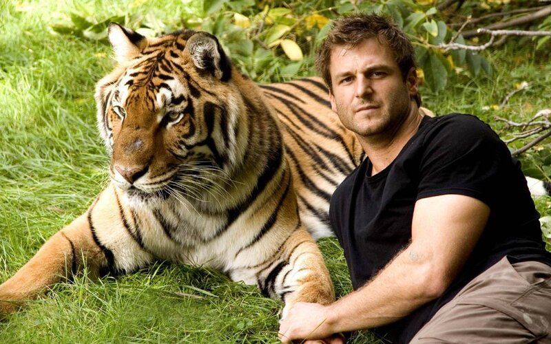 Tiger and Man on Grass