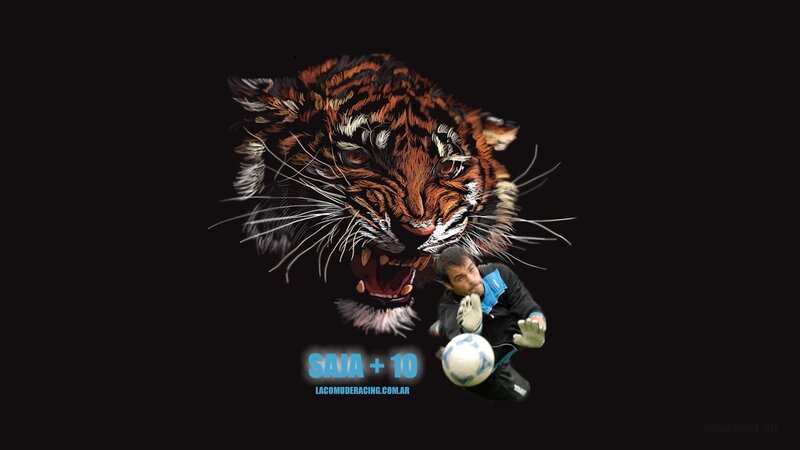 Tiger and Soccer Player