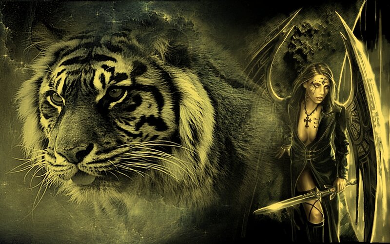 tiger and warrior woman