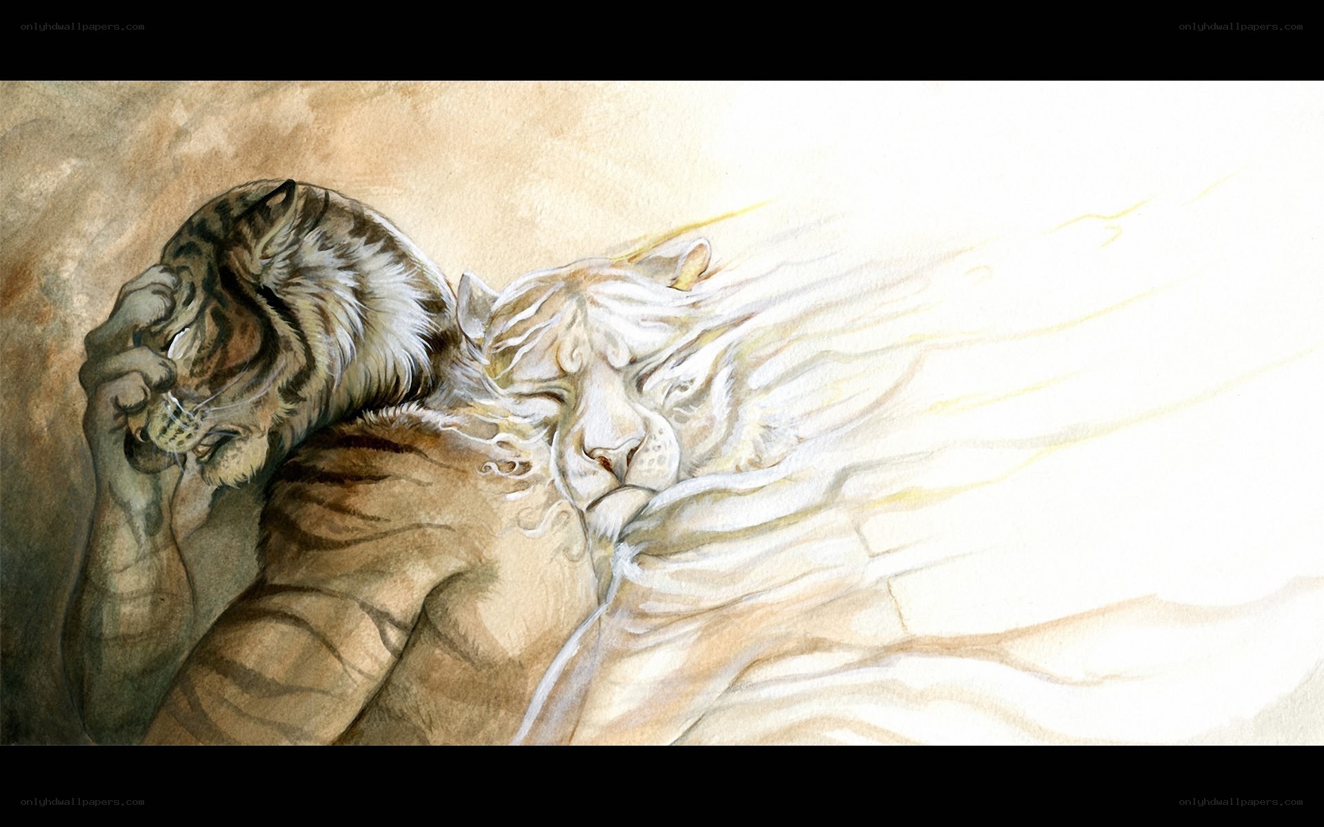 tiger and white tiger embrace