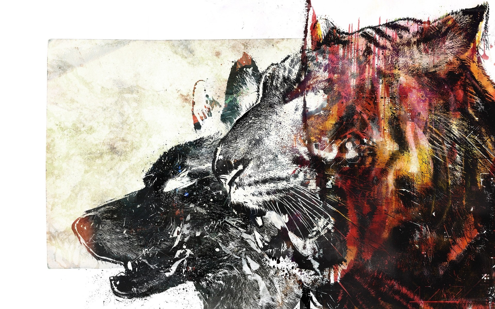 tiger and wolf art collage