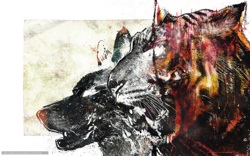 tiger and wolf art