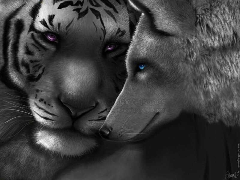 Tiger and Wolf Heads — Black