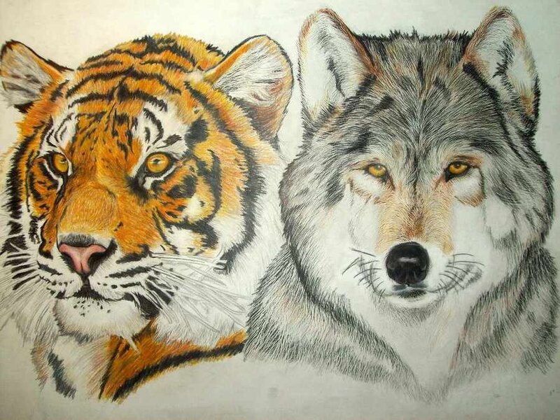 Tiger and Wolf Heads