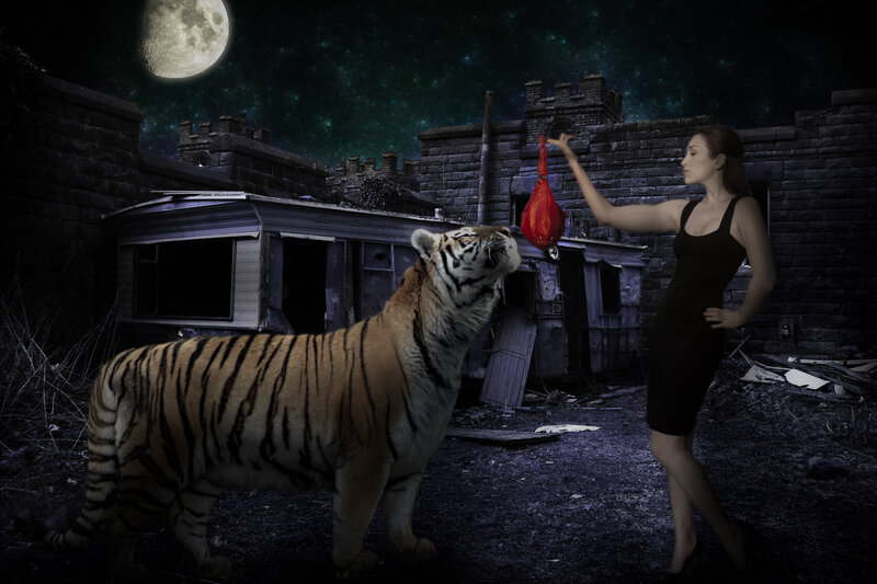 Tiger and Woman at Night