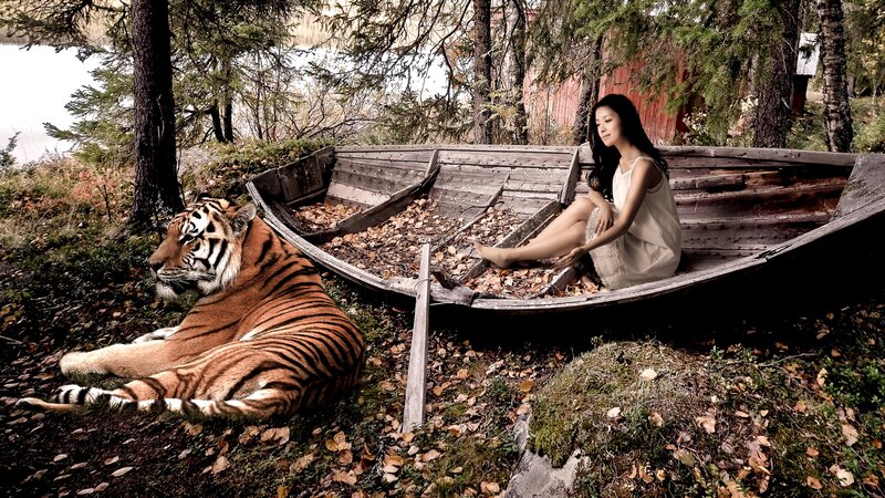 Tiger and Woman in Boat