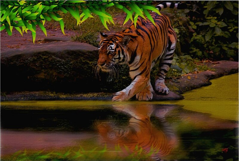 Tiger at Water's Edge — Orange, Dramatic