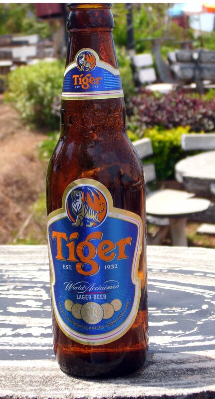 Tiger beer bottle on table