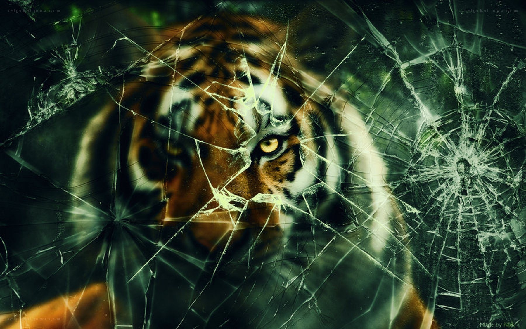 tiger behind shattered glass