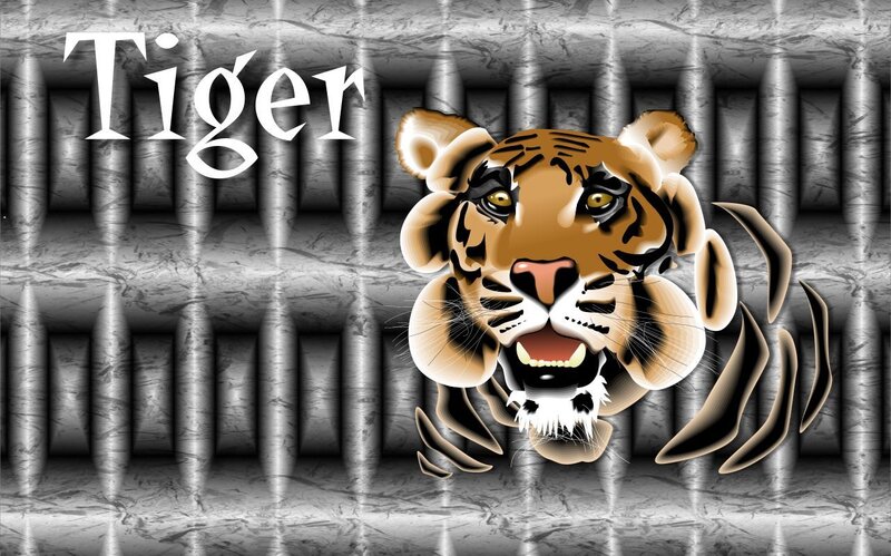 Tiger breaking through metal
