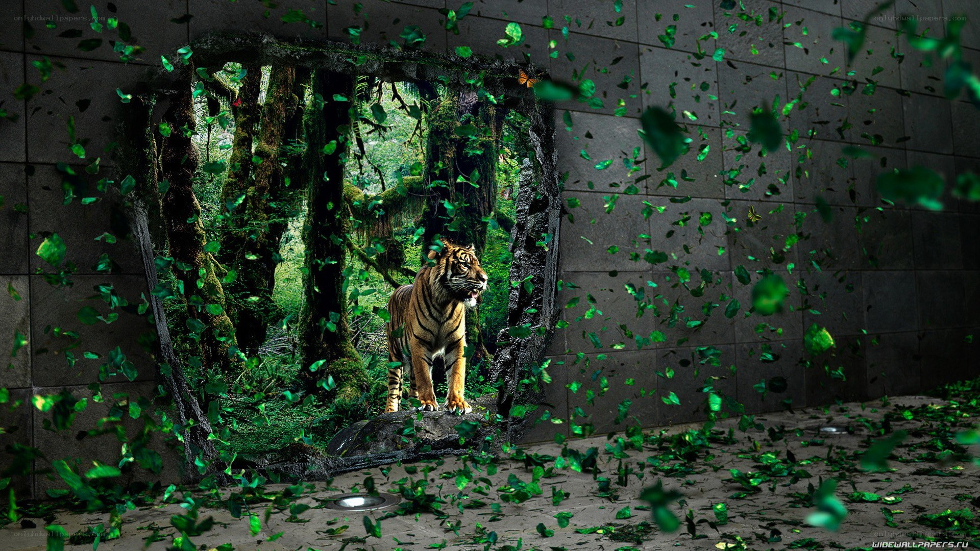 tiger breaking through wall
