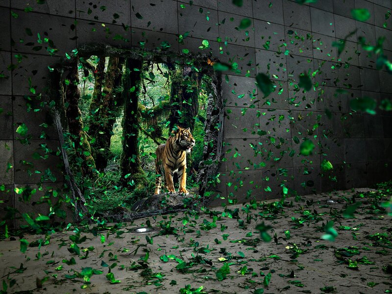 Tiger Breaking Through Wall — Digital Art