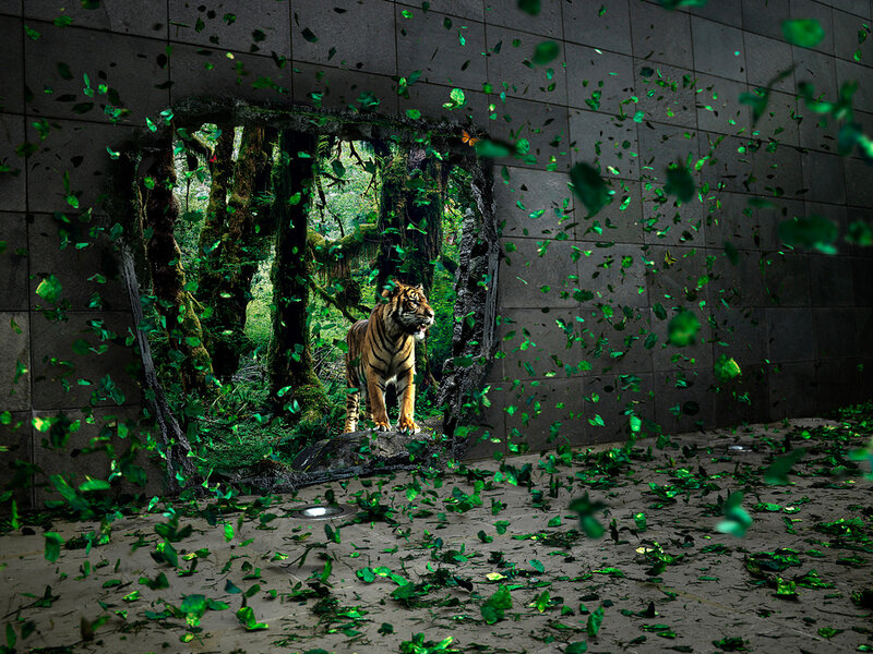 Tiger Breaking Through Wall — Green, Dramatic, Digital Art, Forest, Leaves, Gray