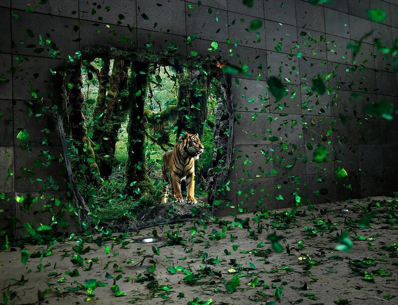 Tiger Breaking Through Wall — Leaves