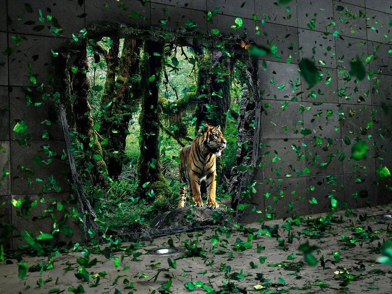 Tiger breaks through wall