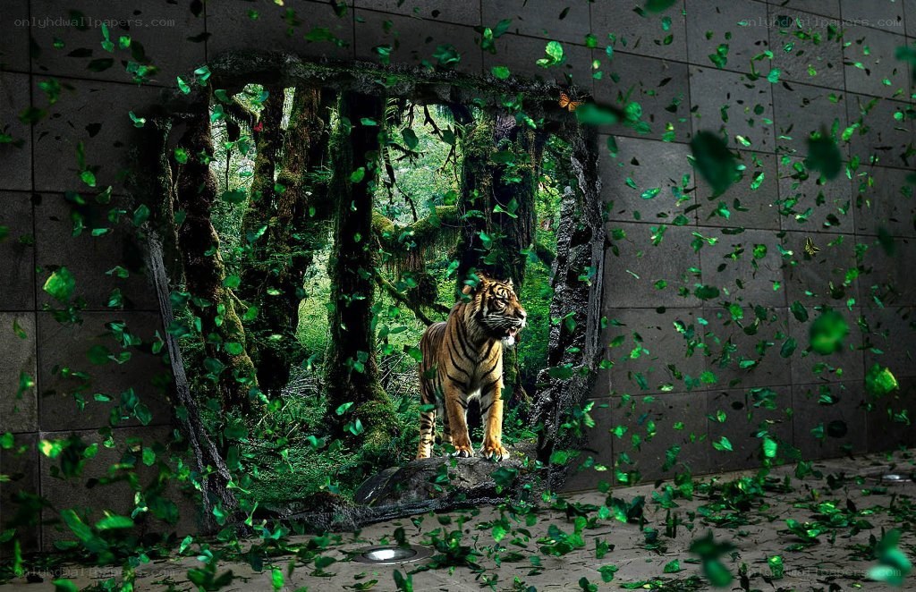 tiger breaks through wall