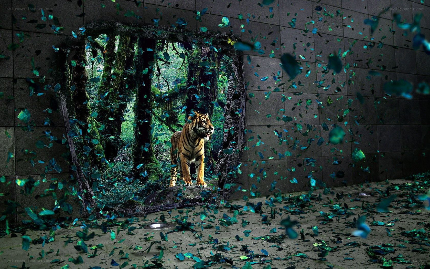 tiger breaks through wall