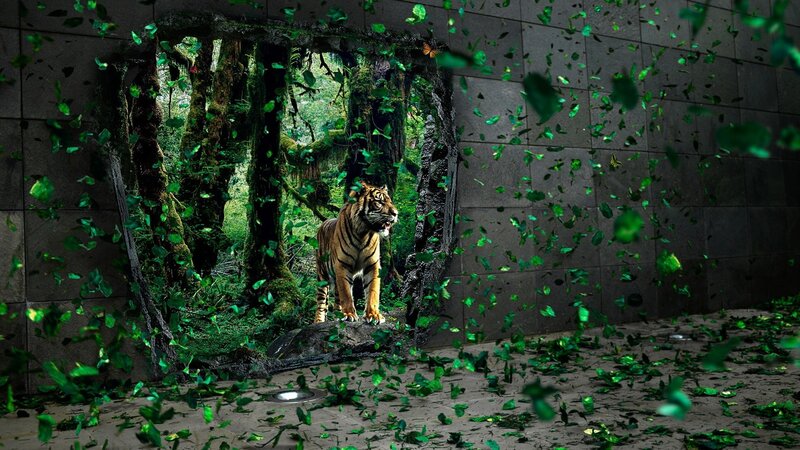 tiger breaks through wall
