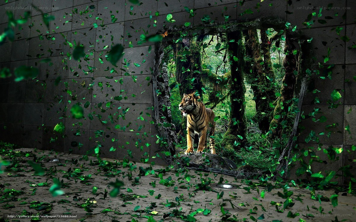 tiger breaks through wall