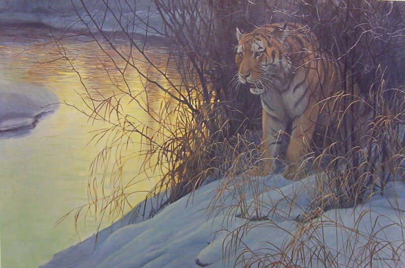 Tiger by a river at dusk