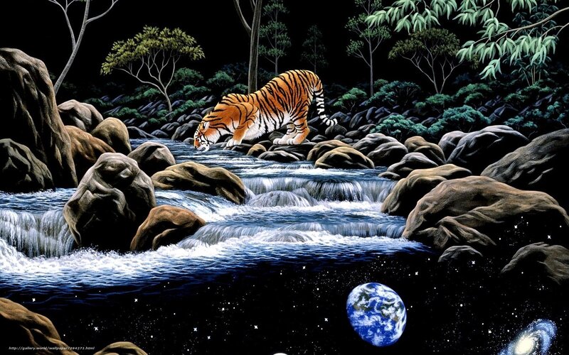 Tiger by a river at night