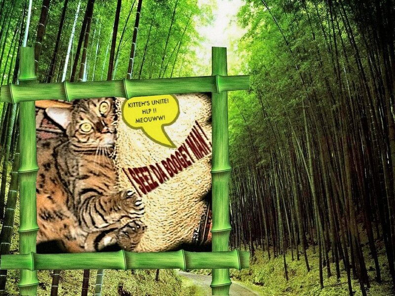 Tiger Cat in Bamboo