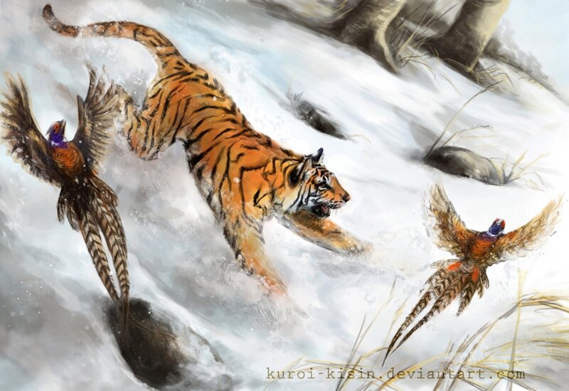 Tiger Chasing Pheasants