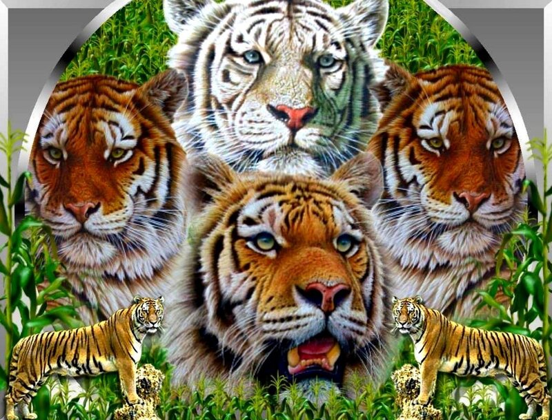 tiger collage artwork