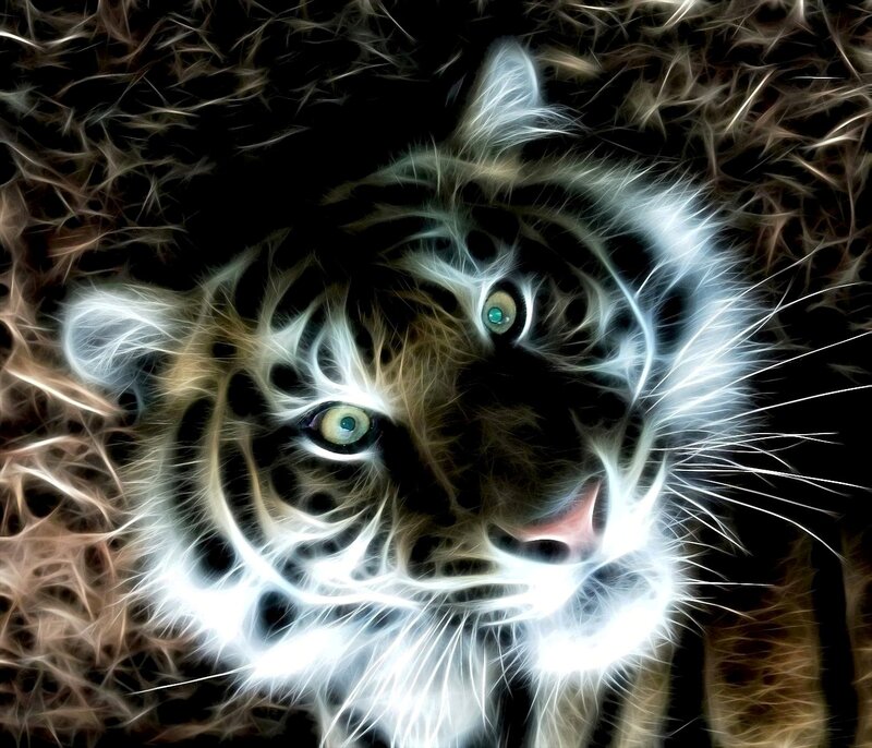 Tiger Cub Face — Black