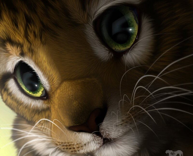 Tiger Cub Face — Brown